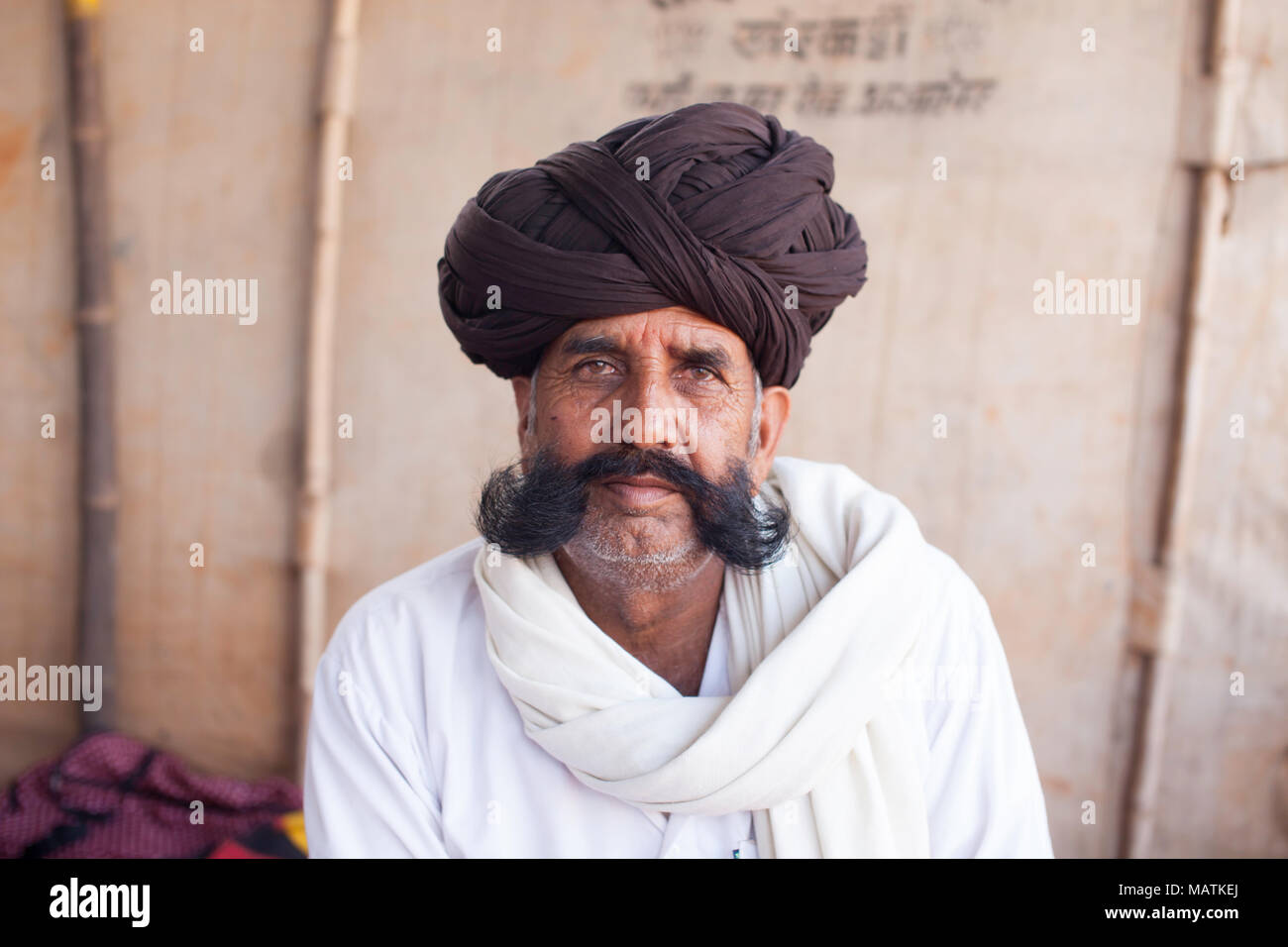 Portrait d'un vieil homme Rajasthani assis dans une tente à la foire aux chameaux de Pushkar avec un turban brun et une moustache, Inde. Banque D'Images