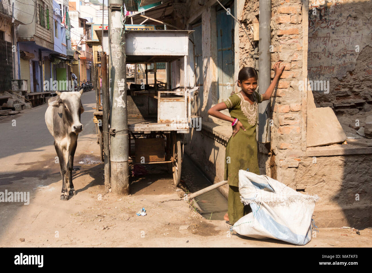 Une jeune fille dans une robe verte se trouve dans une rue de Bundi, Rajasthan, inde avec une vache à sa gauche. Banque D'Images