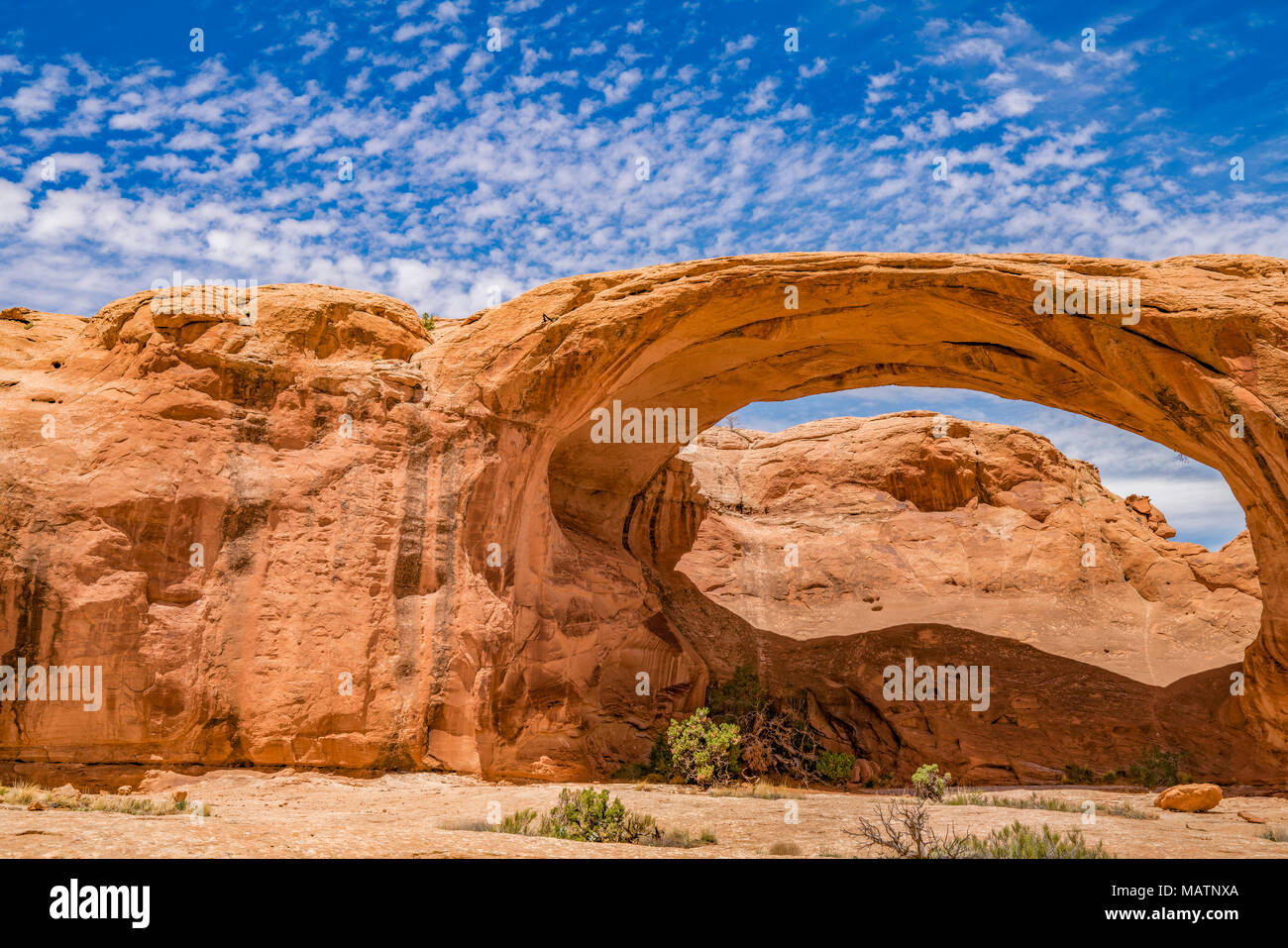 Pritchett Arch, derrière-le-Rocks WSA, près de Moab, Utah, Colorado River Banque D'Images