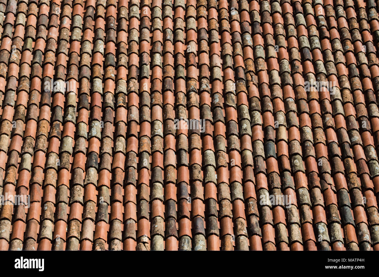 Vue rapprochée des tuiles de toit traditionnelles en terre cuite, alternant entre vieilles et neuves, créant un riche motif de textures et de tons terreux, filli Banque D'Images