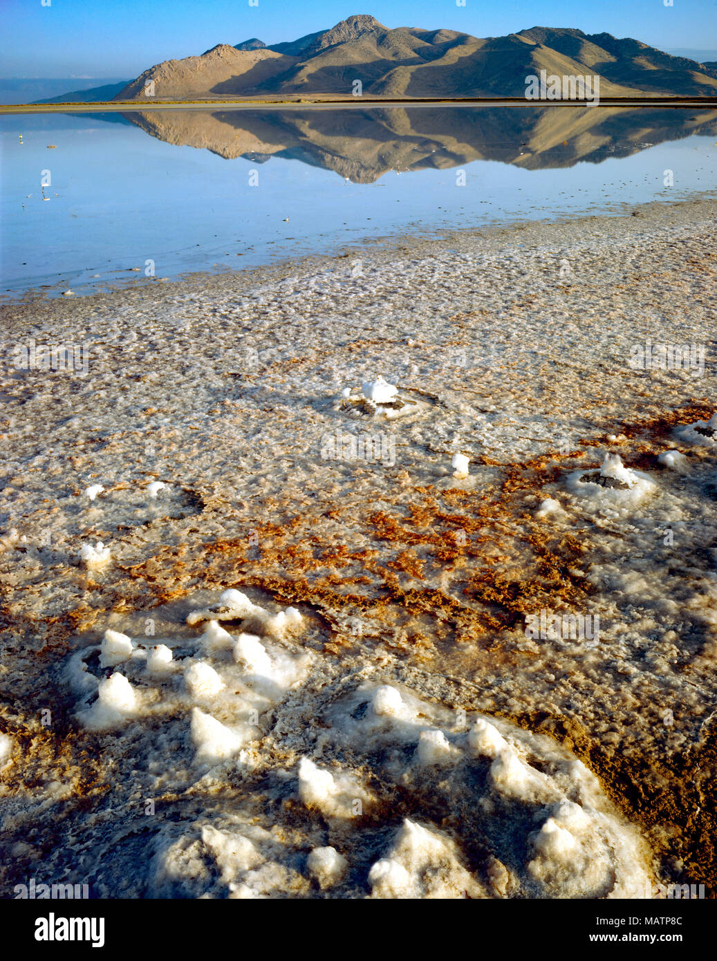 Les modèles de sel sur les rives , Great Salt Lake, Utah Stansbury Island Banque D'Images