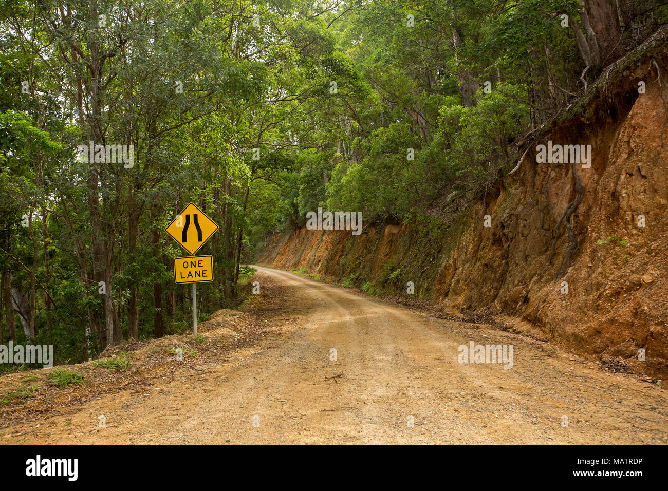 Chemin de terre étroit serpentant à travers du paysage forestier du Parc National de Conondale dans le Queensland en Australie Banque D'Images