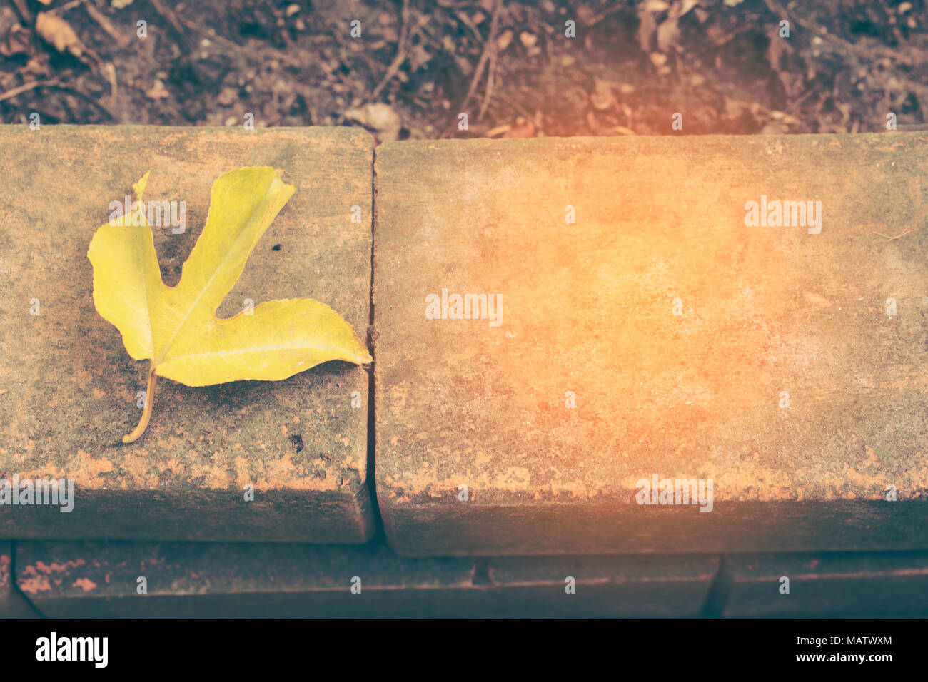Fruit de la passion jaune du laisser sur le vieux briques Banque D'Images