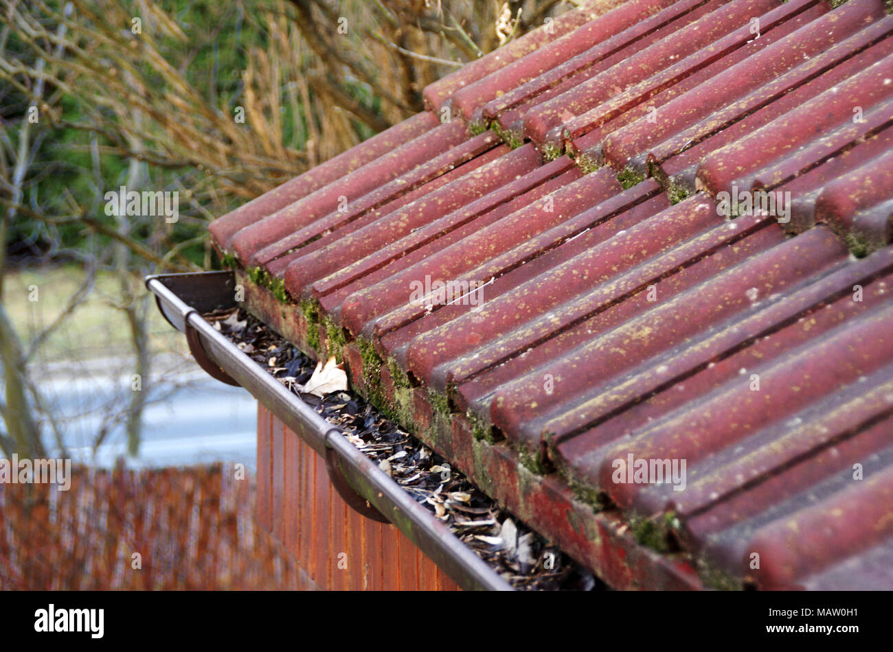 Le nettoyage de gouttière sale mousse et feuilles. Bâtiment avec toit à tuiles impurs après l'hiver. Le nettoyage de printemps. Banque D'Images