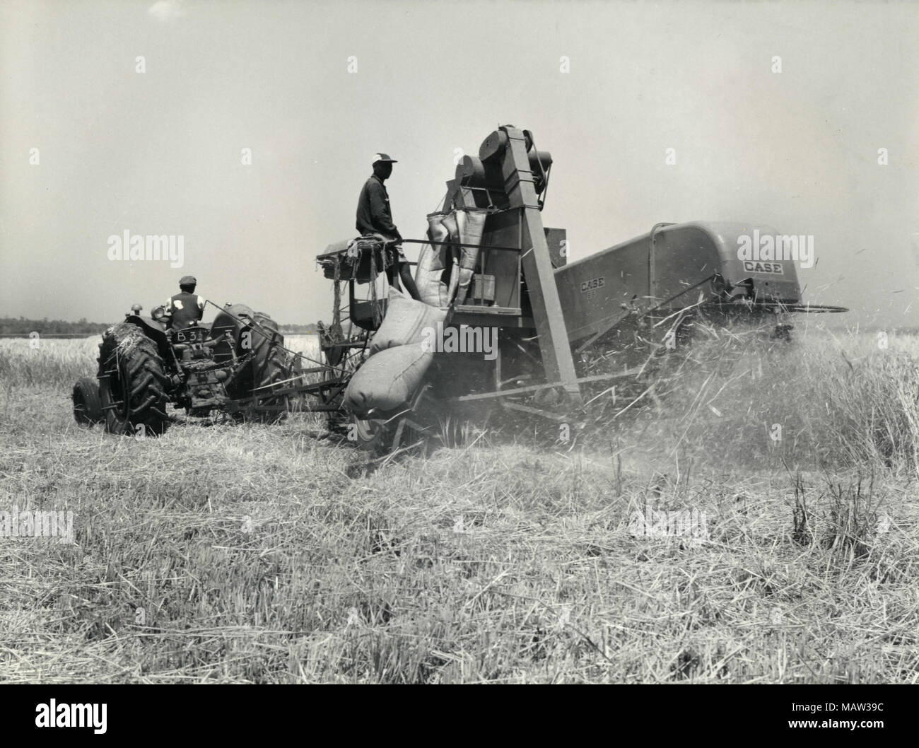 Les hommes qui travaillent à la récolte avec une moissonneuse, confiance, sélection de Rhodésie Polder pilote de Kafue en Zambie, la Rhodésie du Sud, 1957 Banque D'Images