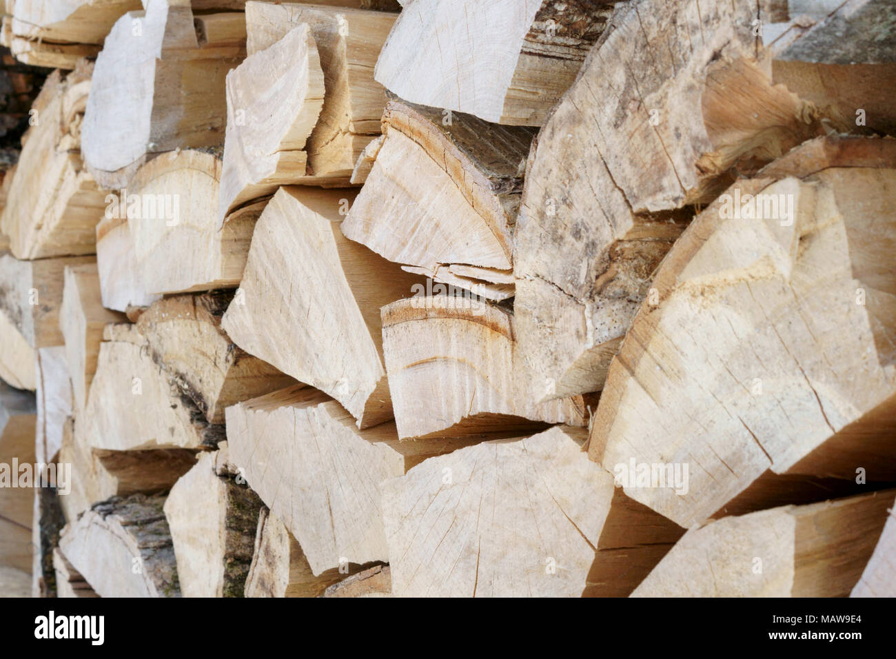 Une pile de grumes, bois fendu, dans l'hiver. Banque D'Images