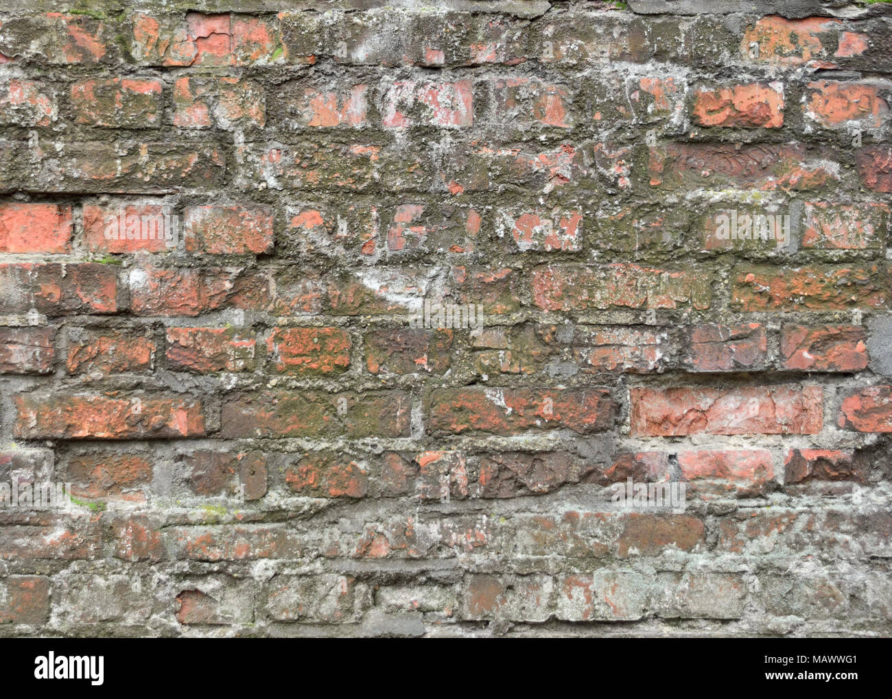 Plage mur brique pierre texturés, arrière-plan. Full Frame shot d'un mur de brique rouge, en toile de fond. Banque D'Images