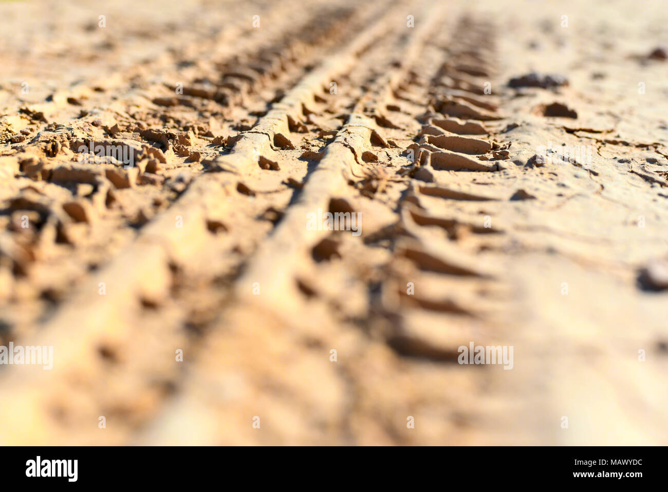 La voie du chariot dans le sable ou la terre sèche. La largeur de voie avec focus sélectif et flou, gros plan tourné. Banque D'Images