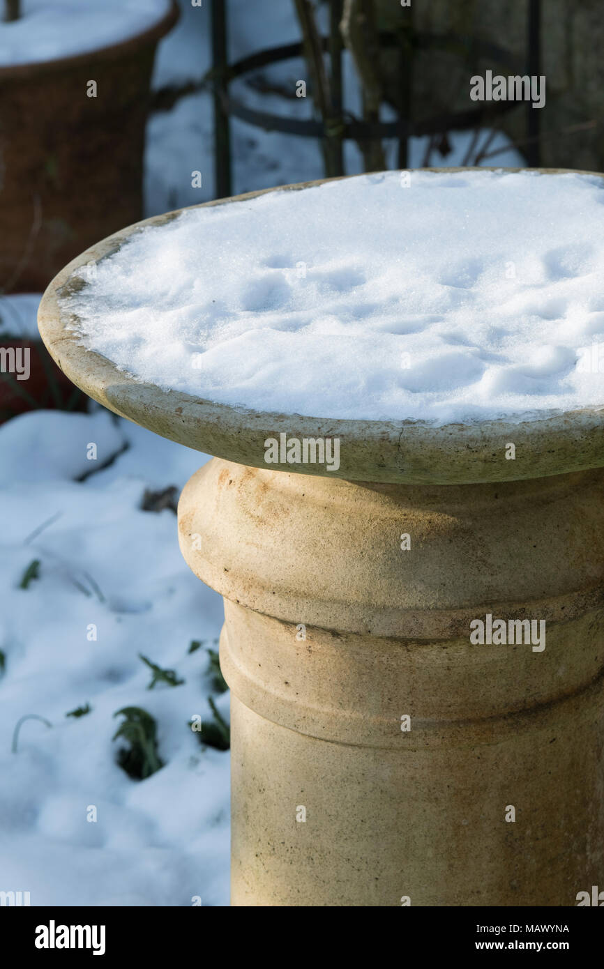 Bain d'oiseaux recouverts de neige en un jardin anglais en mars. UK Banque D'Images