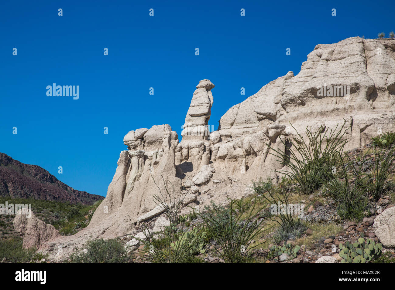 Les cheminées à Big Bend Ranch State Park Banque D'Images
