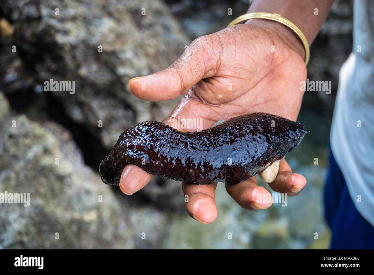 Un homme de trépang s main sur la mer Noire. de concombre de mer. vilaine chose. Banque D'Images