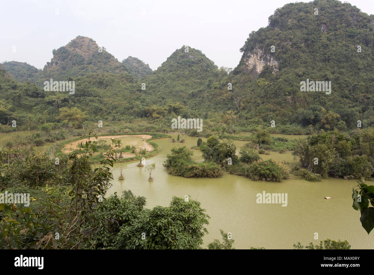 Paysage du Parc des oiseaux à au nord du Vietnam Banque D'Images
