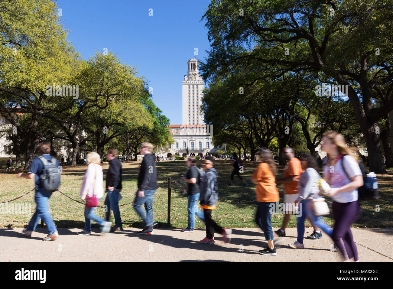 Les étudiants de l'Université américaine, l'université du Texas à Austin, Austin, Texas USA Banque D'Images