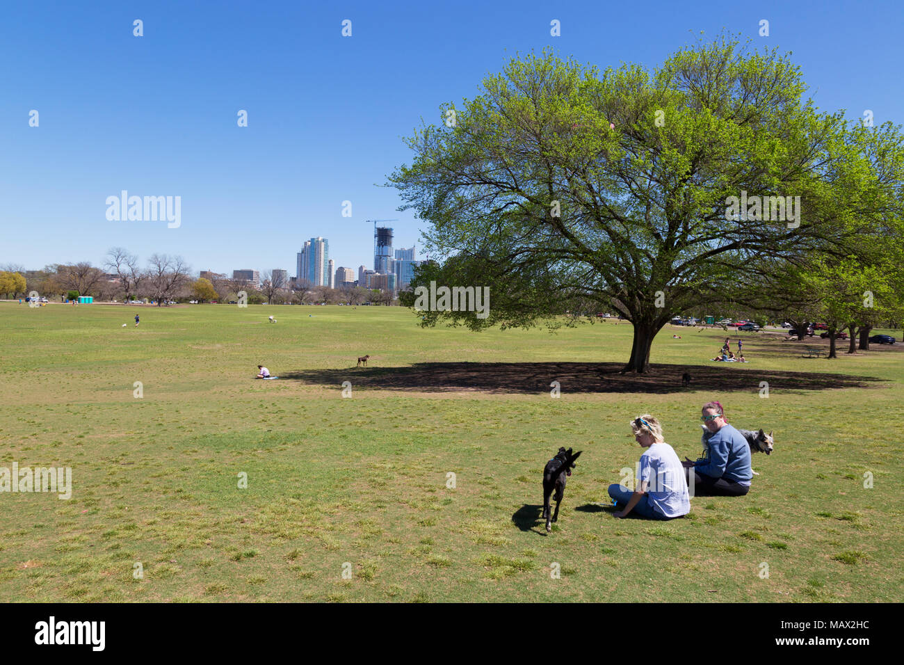 Zilker Park, Austin, Texas USA - les gens dans le parc lors d'une journée ensoleillée en Mars Banque D'Images
