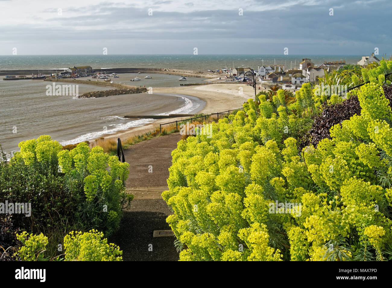 Dorset UK,,Lyme Regis,vue depuis les jardins à la Langmoor & Cobb Harbour Banque D'Images