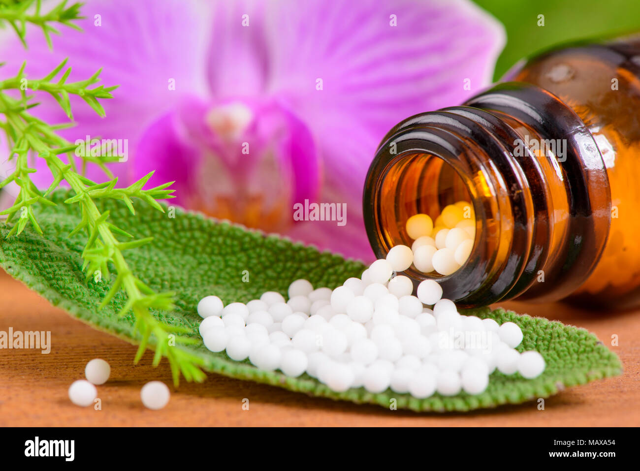 La médecine alternative avec des herbes médicinales et homéopathiques comprimés avec l'essence de plante médicinale Banque D'Images