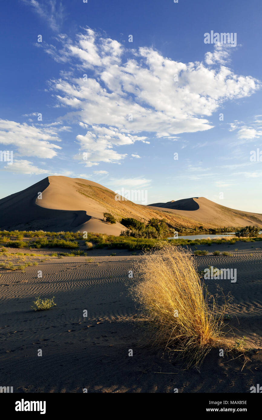 ID00677-00...NEW YORK - Dunes de Bruneau Dunes State Park. Banque D'Images ID00677-00...NEW YORK - Dunes de Bruneau Dunes State Park. Banque D'Images
