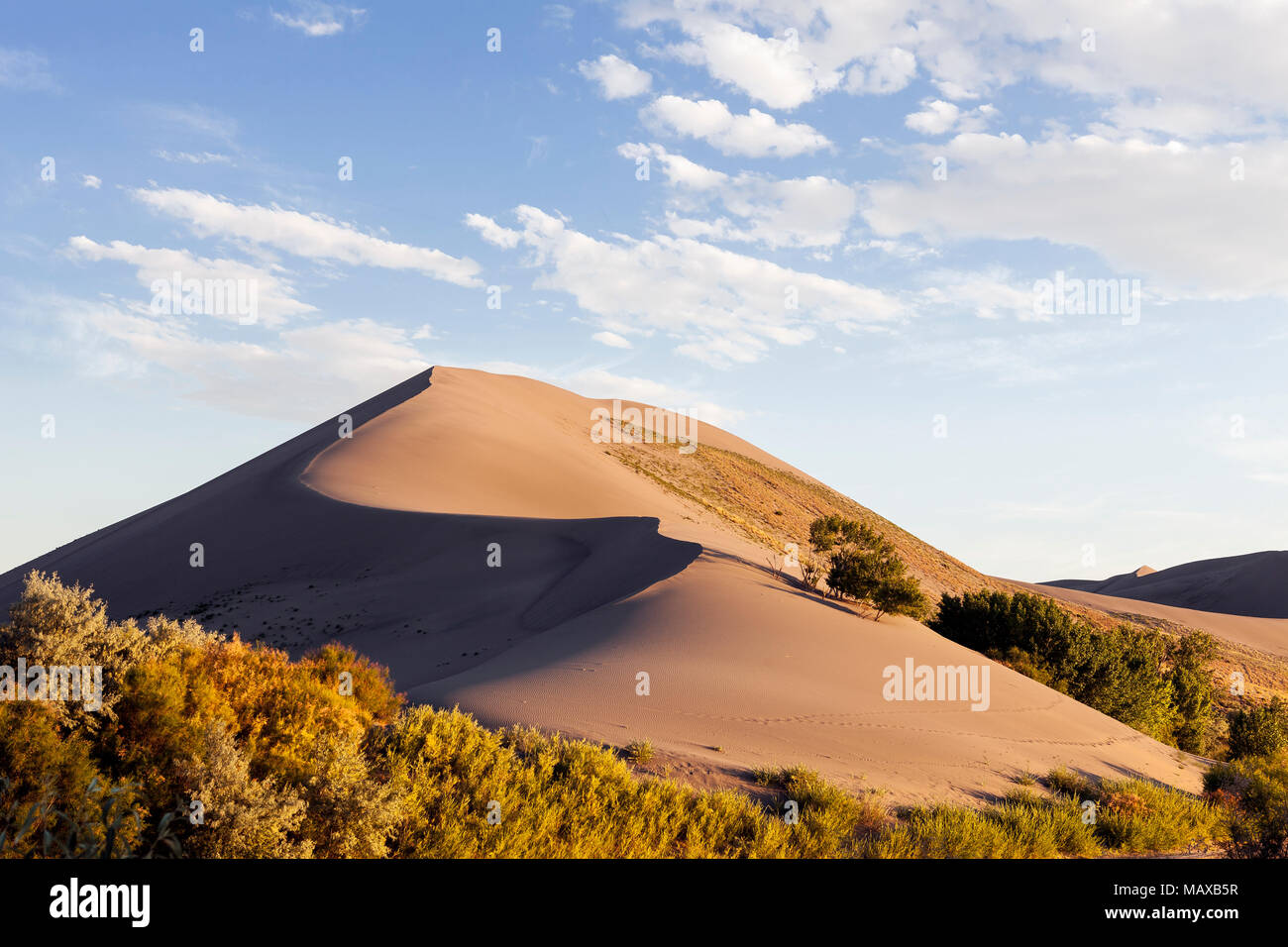 ID00678-00...NEW YORK - Dunes de Bruneau Dunes State Park. Banque D'Images ID00678-00...NEW YORK - Dunes de Bruneau Dunes State Park. Banque D'Images