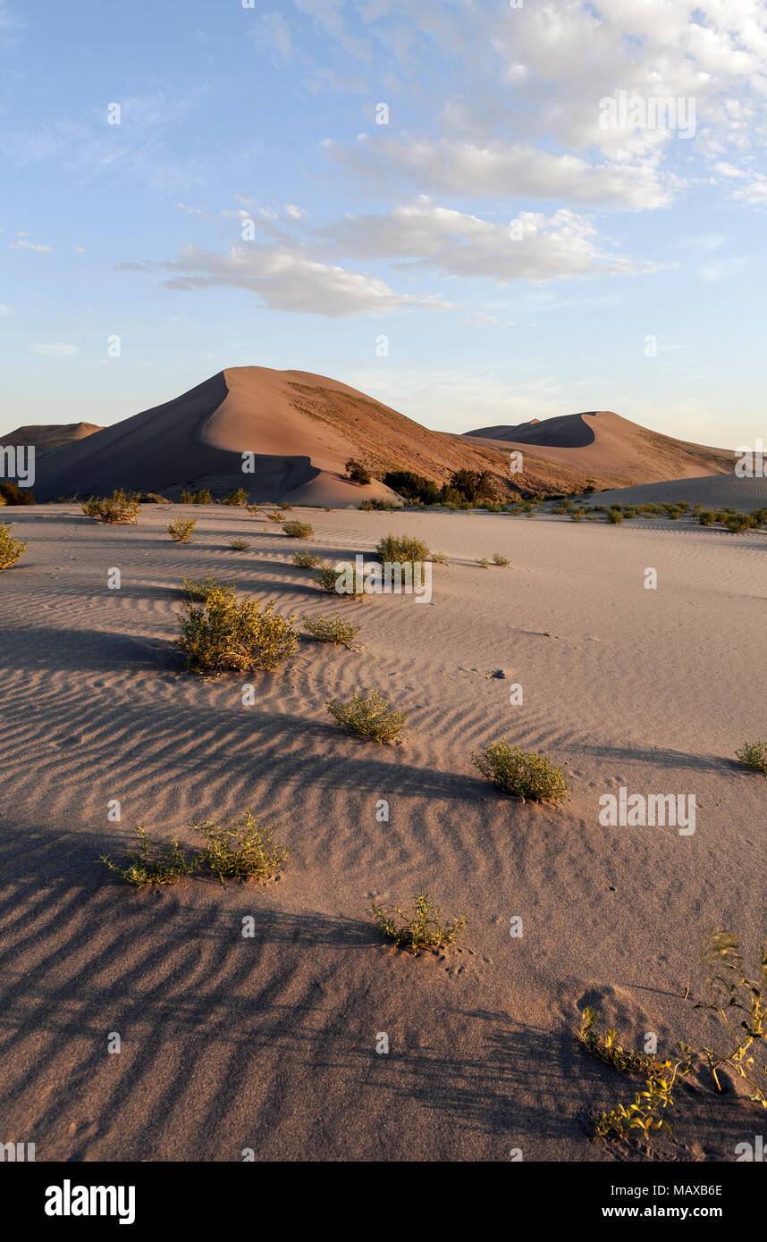ID00680-00...NEW YORK - Dunes de Bruneau Dunes State Park. Banque D'Images ID00680-00...NEW YORK - Dunes de Bruneau Dunes State Park. Banque D'Images