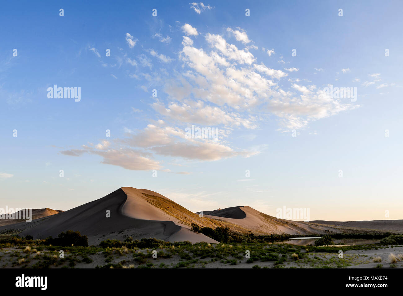 ID00681-00...NEW YORK - Dunes de Bruneau Dunes State Park. Banque D'Images ID00681-00...NEW YORK - Dunes de Bruneau Dunes State Park. Banque D'Images