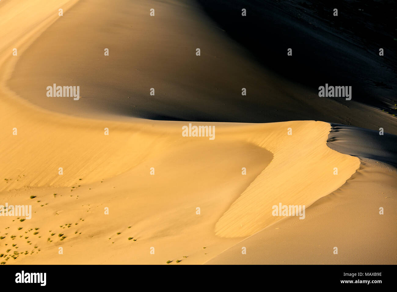 ID00685-00...NEW YORK - Dunes de Bruneau Dunes State Park. Banque D'Images