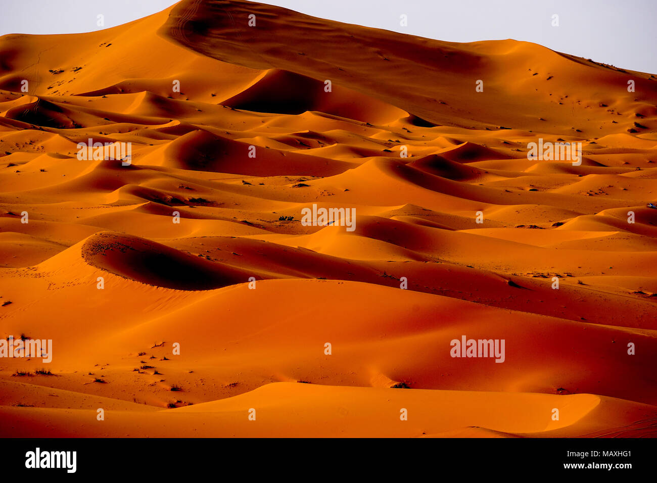 Le plus grand désert du Sahara, Merzouga, Erg Chebbi, Maroc Banque D'Images