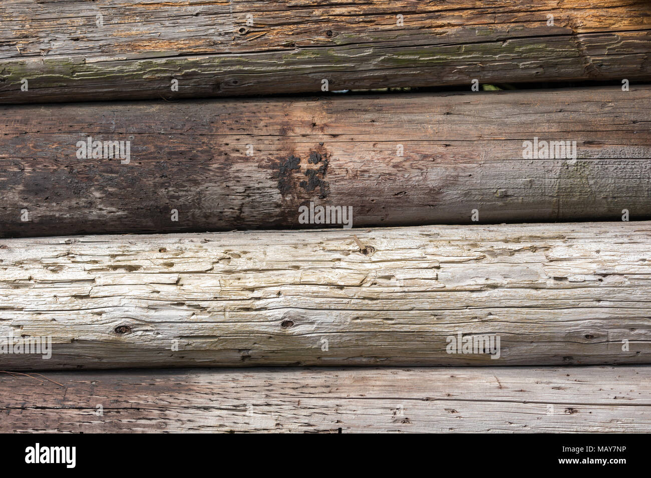 Vieux bois log mur pour l'utilisation d'arrière-plan Banque D'Images