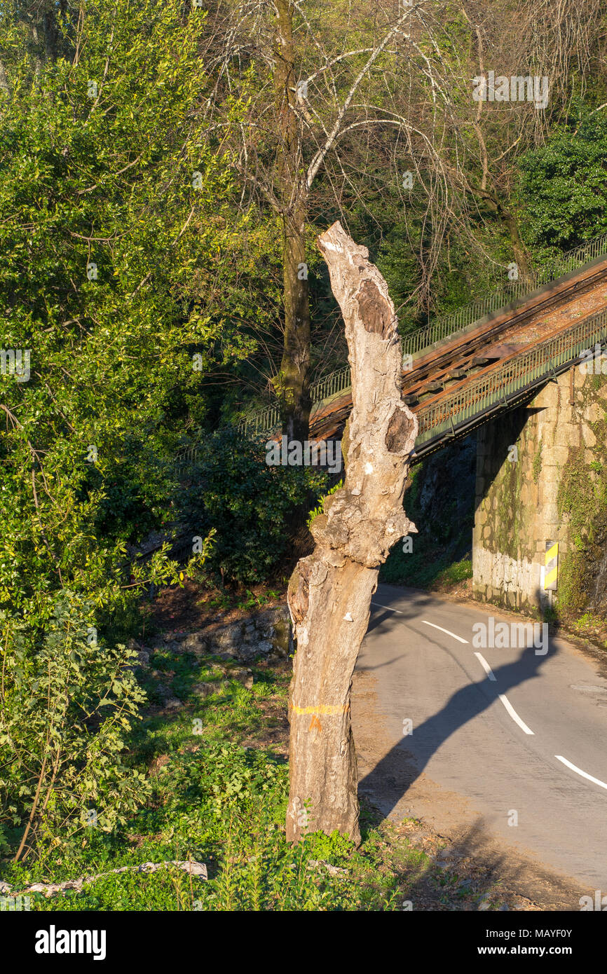 De Routes et de Bom Jesus église Sameiro leadind à la rampa da falperra étape rallye au Portugal Banque D'Images