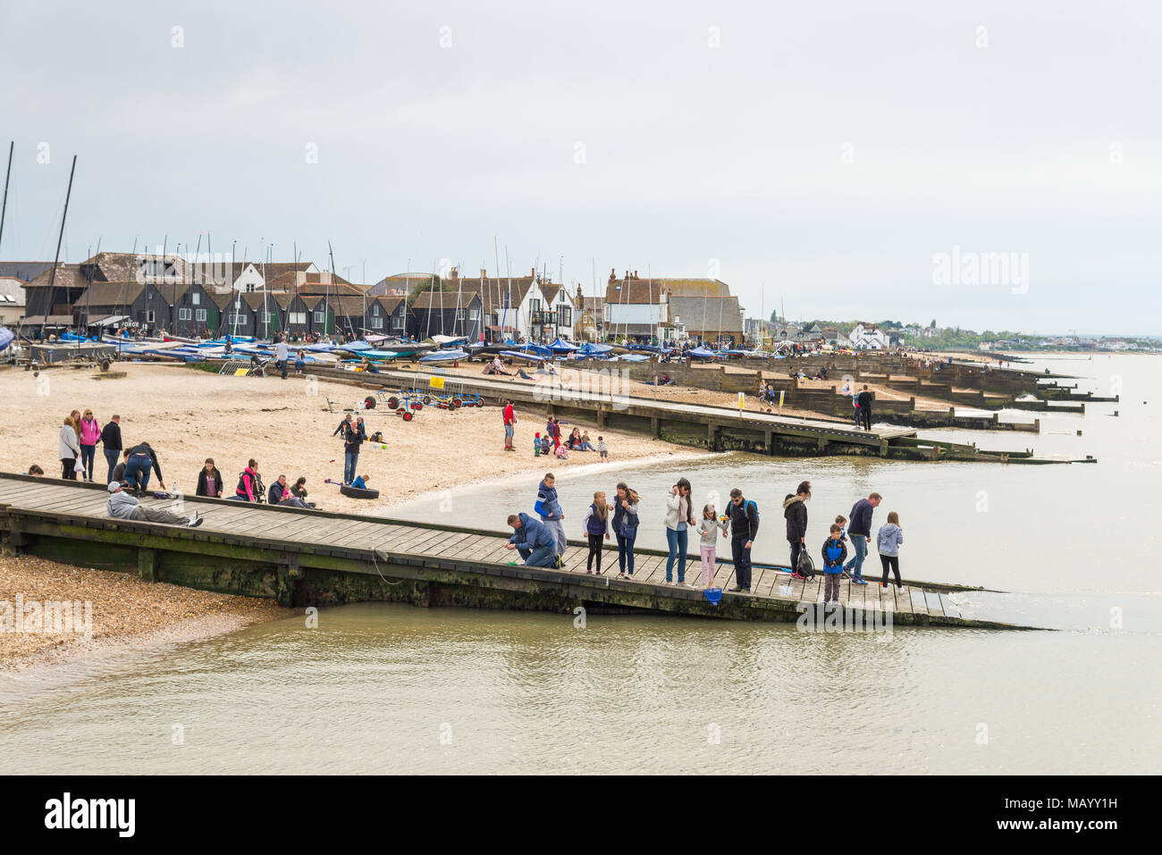 Bois épis à Whitstable, Kent, UK Banque D'Images