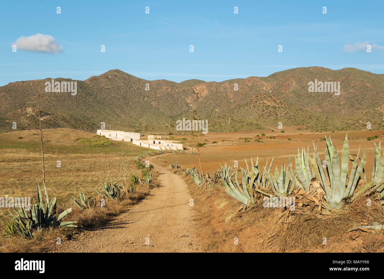 Paysage aride avec siècle plantes (Agave americana) et la ferme abandonnée Cortijo de los Genoveses, réserve naturelle Cabo Banque D'Images