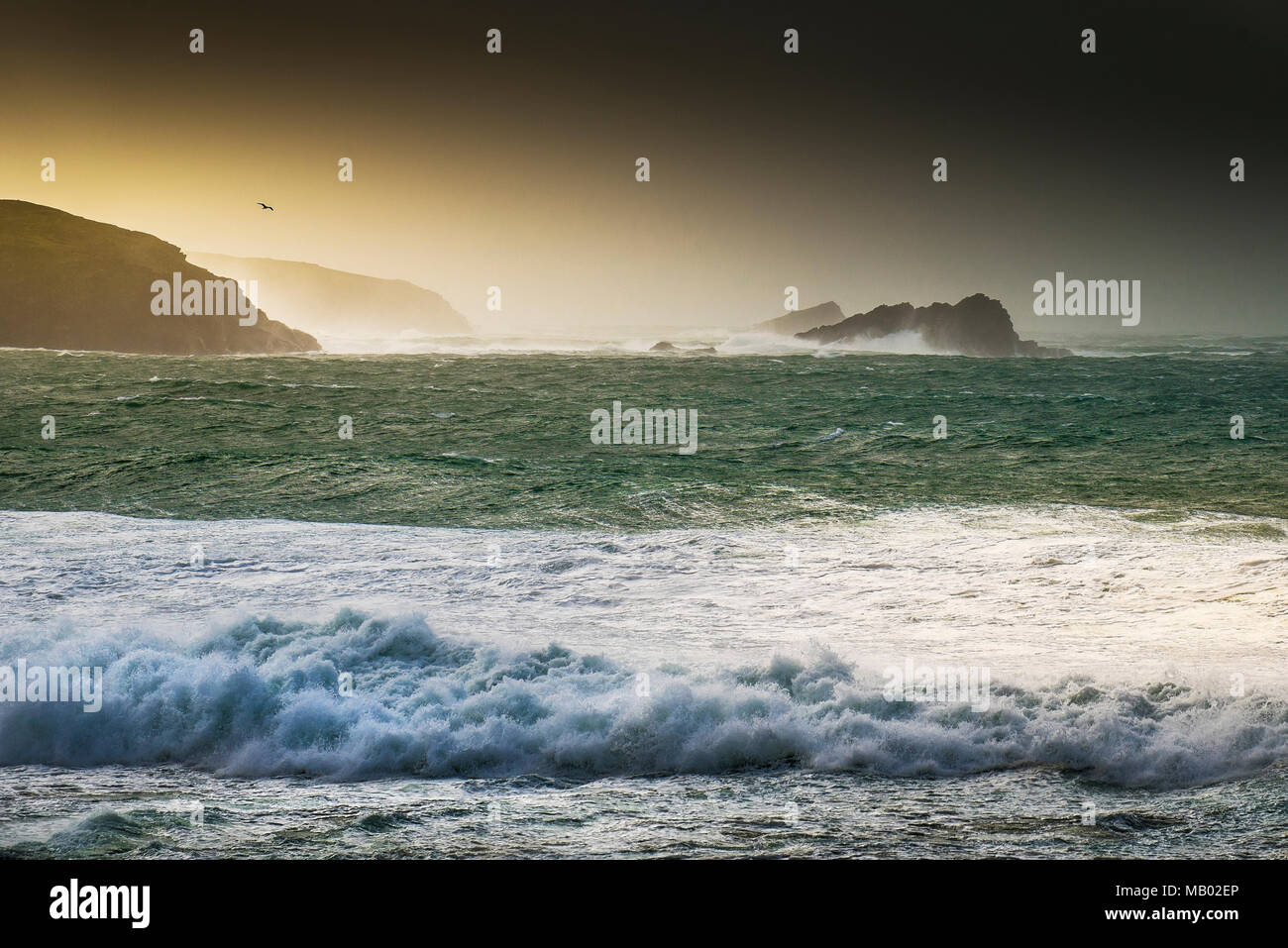 Lumière du soir sur la mer déchaînée conditions que Storm hits Ophelia la côte de Newquay en Cornouailles. Banque D'Images