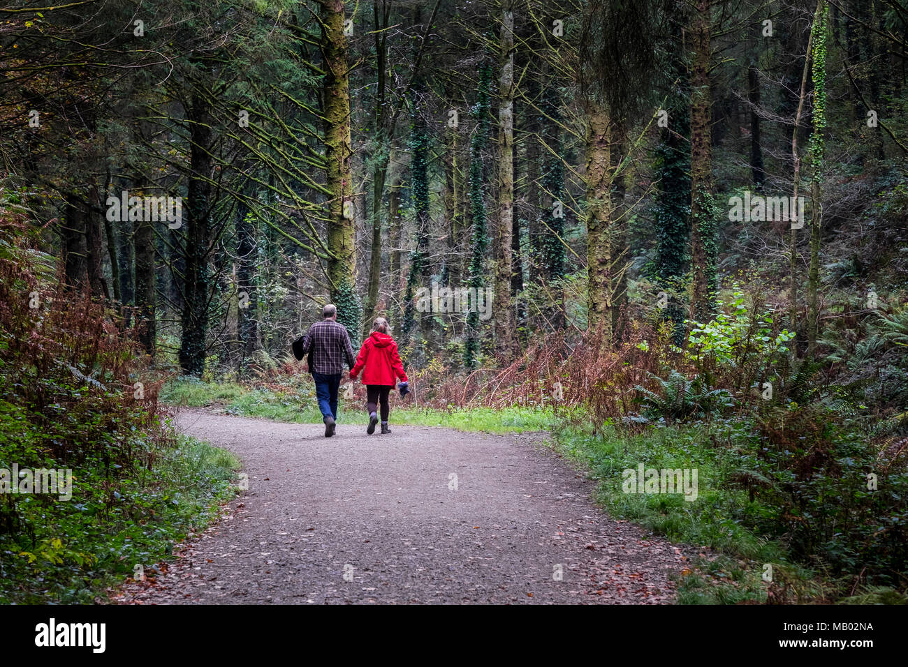 Un couple en train de marcher le long d'une voie d'exécution par Cardinham Woods à Bodmin à Cornwall. Banque D'Images