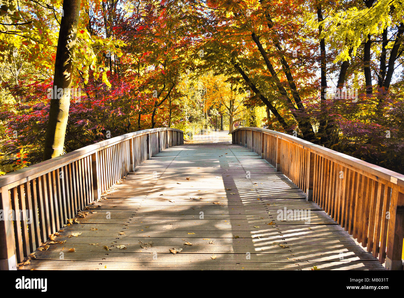 Scène d'automne idyllique avec pont en bois ou passerelle et du soleil. Banque D'Images