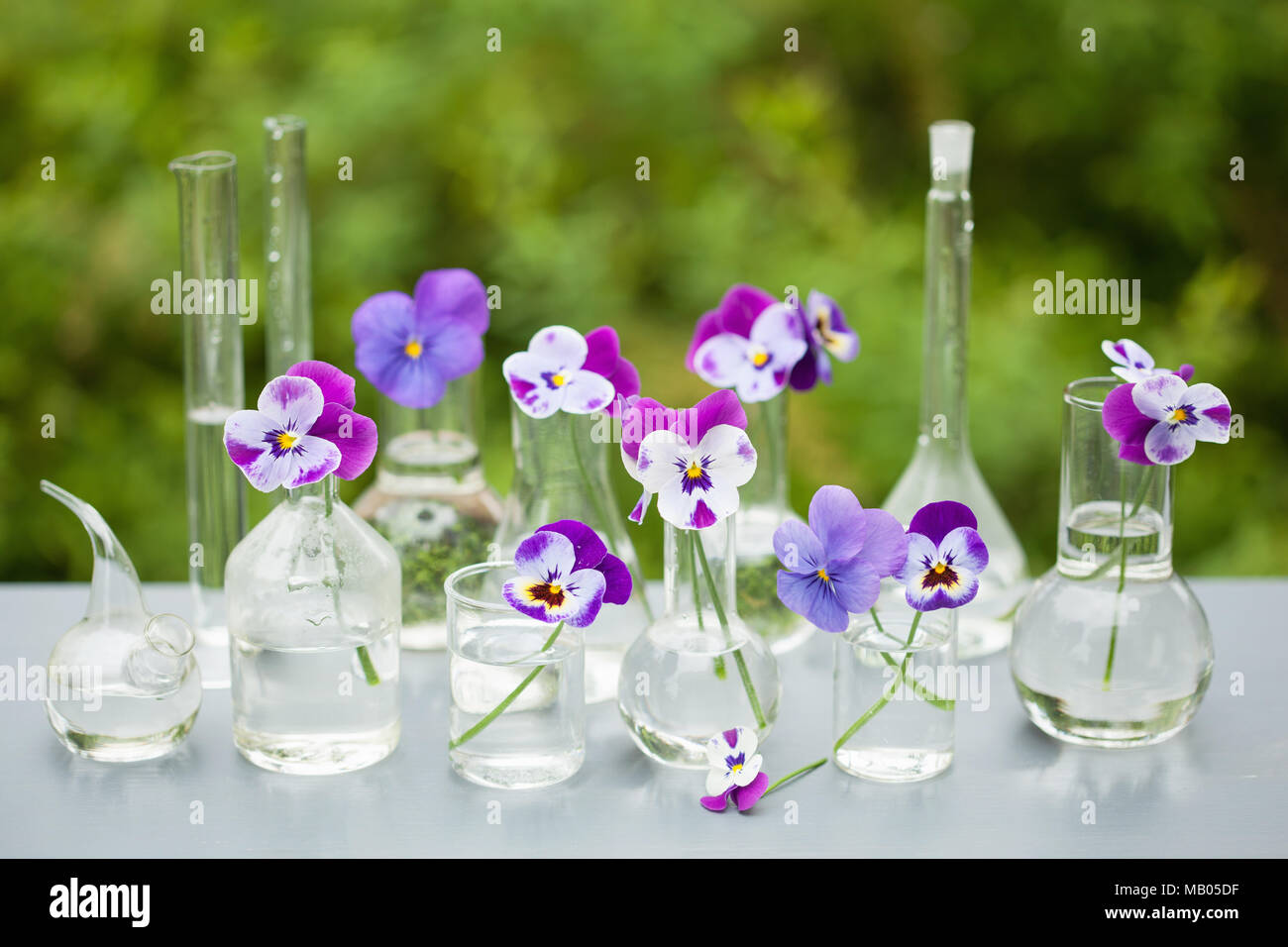 Fleur sur la verrerie en chimie, décoration de table de jardin Photo Stock  - Alamy