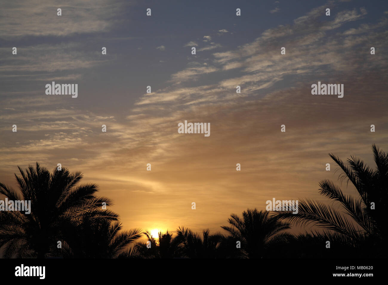 Lever du soleil en Afrique, Egypte Banque D'Images