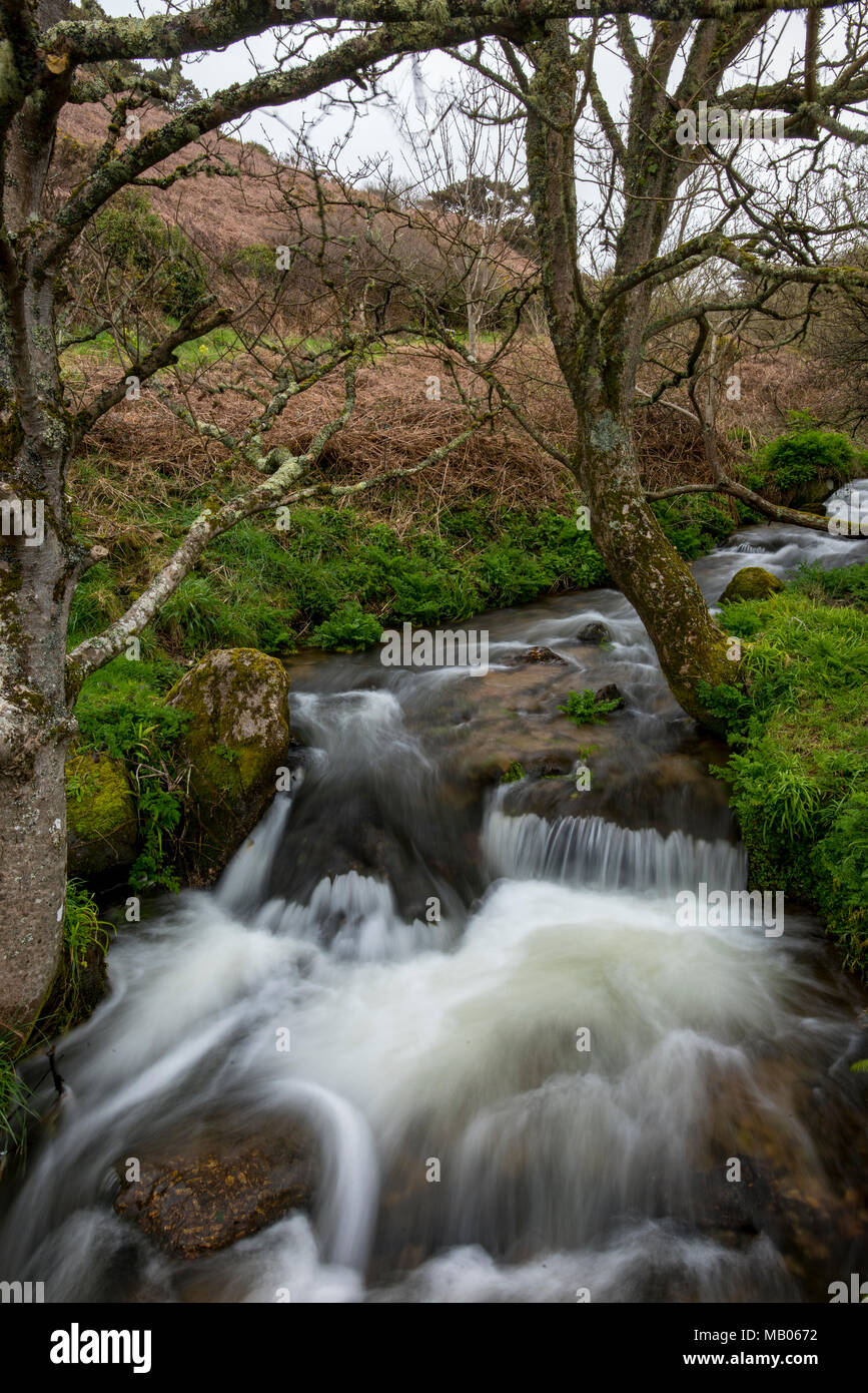 Un ruisseau ou un cours d'exécution à travers le flanc au chalet valley près de pendeen ou saint just, à Cornwall. Dans un mouvement d'eau naturel. Banque D'Images