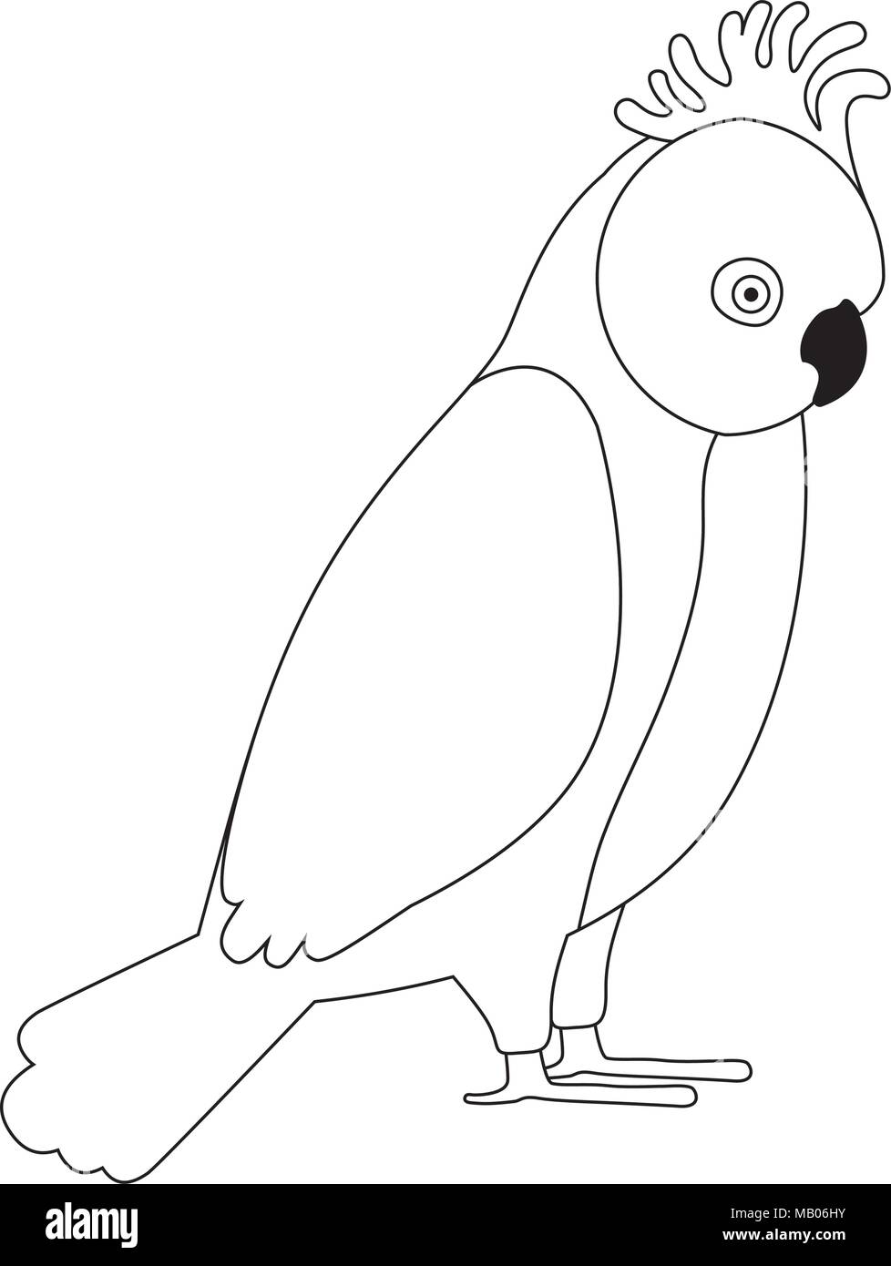 Gang Gang cockatoo oiseaux australiens Illustration de Vecteur