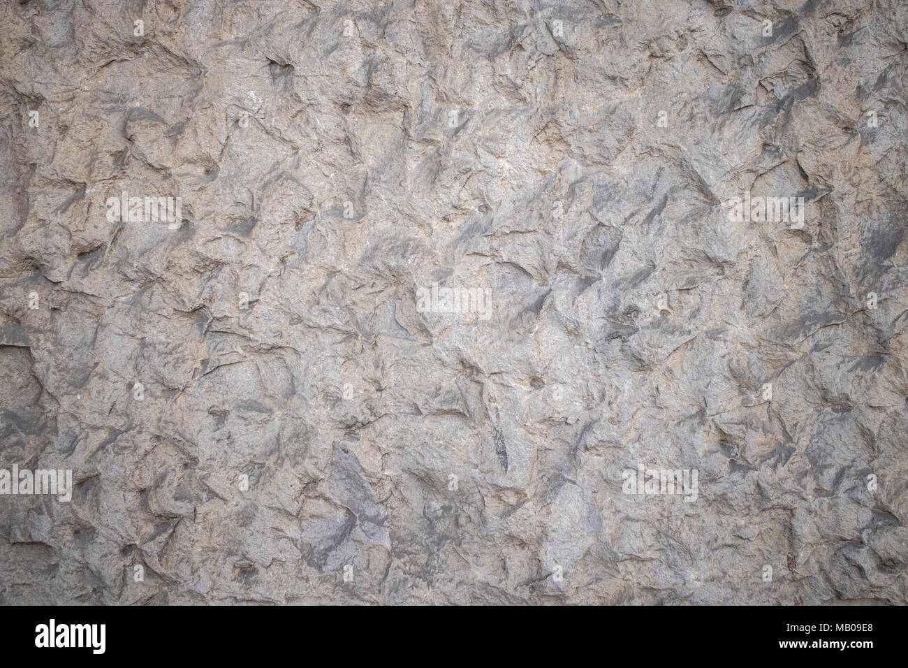La texture de pierre à motifs beige Banque D'Images La texture de pierre à motifs beige Banque D'Images