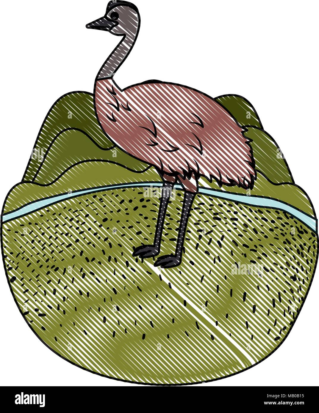 Emu sauvages oiseaux australiens dans le camp Illustration de Vecteur