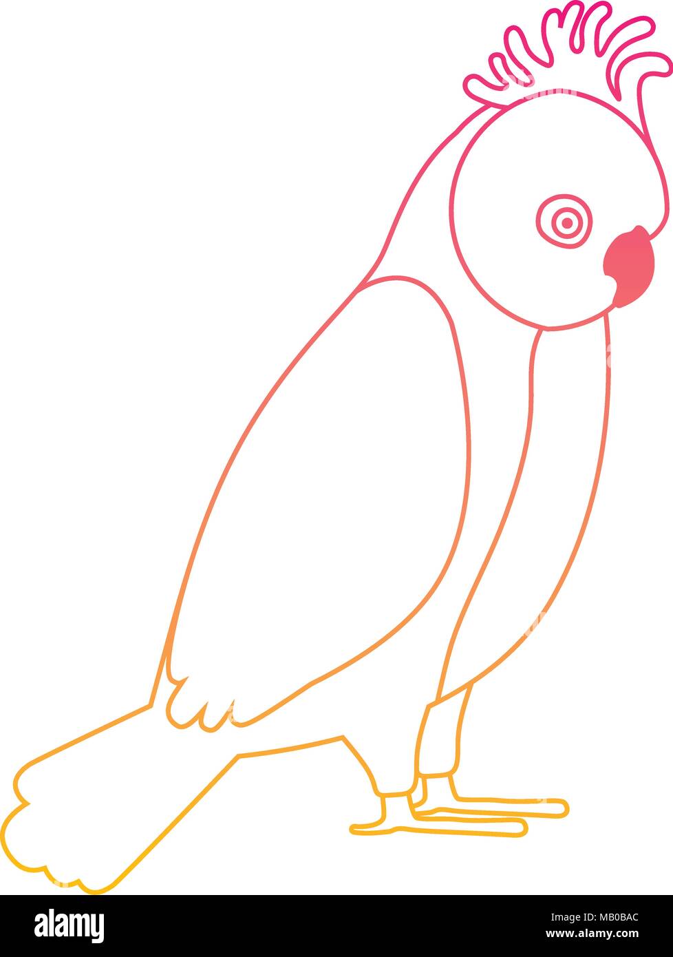 Gang Gang cockatoo oiseaux australiens Illustration de Vecteur