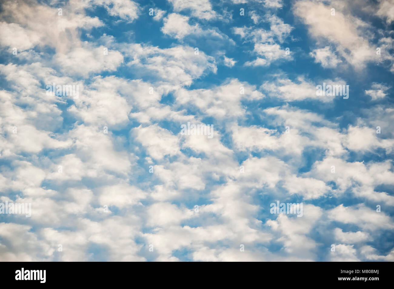 Ciel bleu profond avec rempli de taches de nuage blanc Banque D'Images