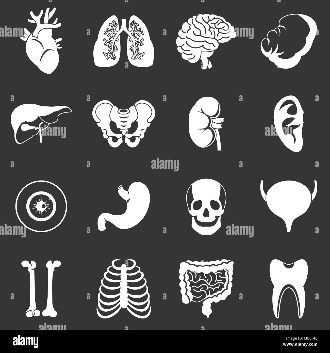 Les organes humains icons set vector gris Illustration de Vecteur