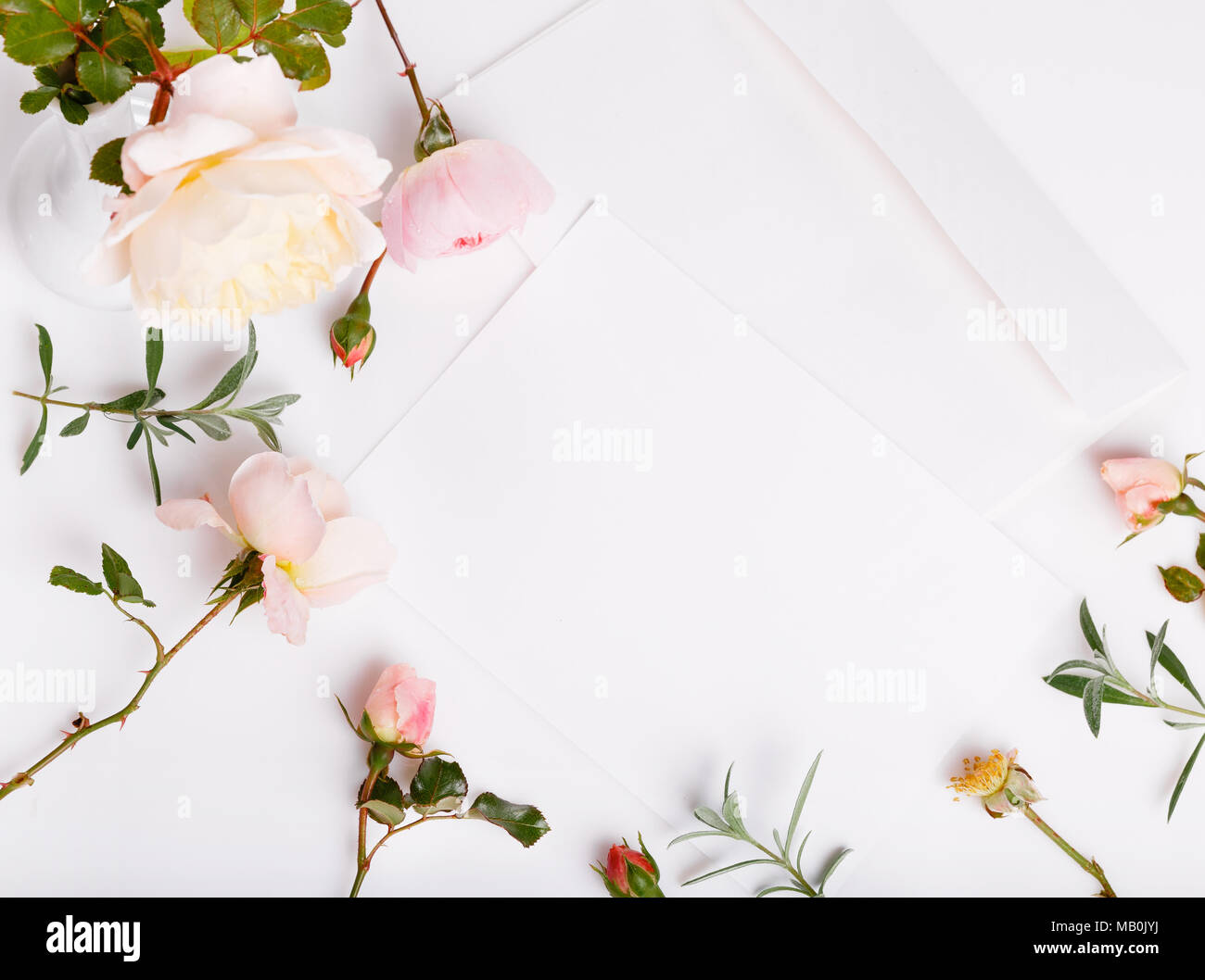 Lettre Enveloppe Blanche Sur Fond Blanc Avec Une Rose Anglaise Rose Cartes D Invitation Ou Lettre D Amour Anniversaire Fete Des Meres Saint Valentin Feministe Mariage D Photo Stock Alamy