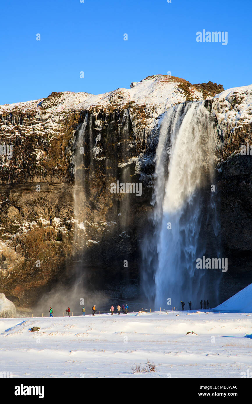 L'Europe, l'activité, de la neige, de Seljalandsfoss, volcan island, de l'eau, cascade, hiver Banque D'Images