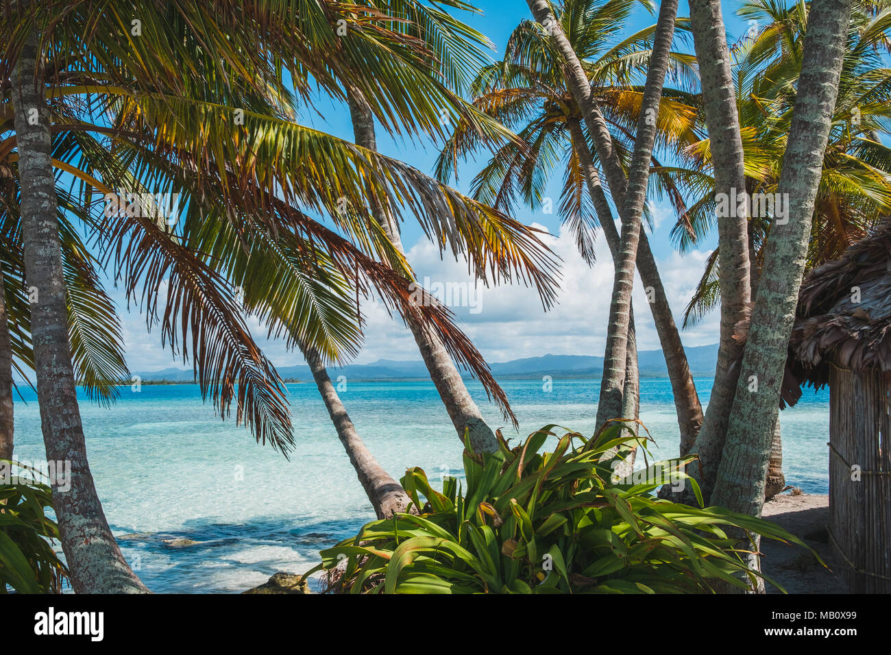 Palmiers hut et océan - paysage tropical island Banque D'Images