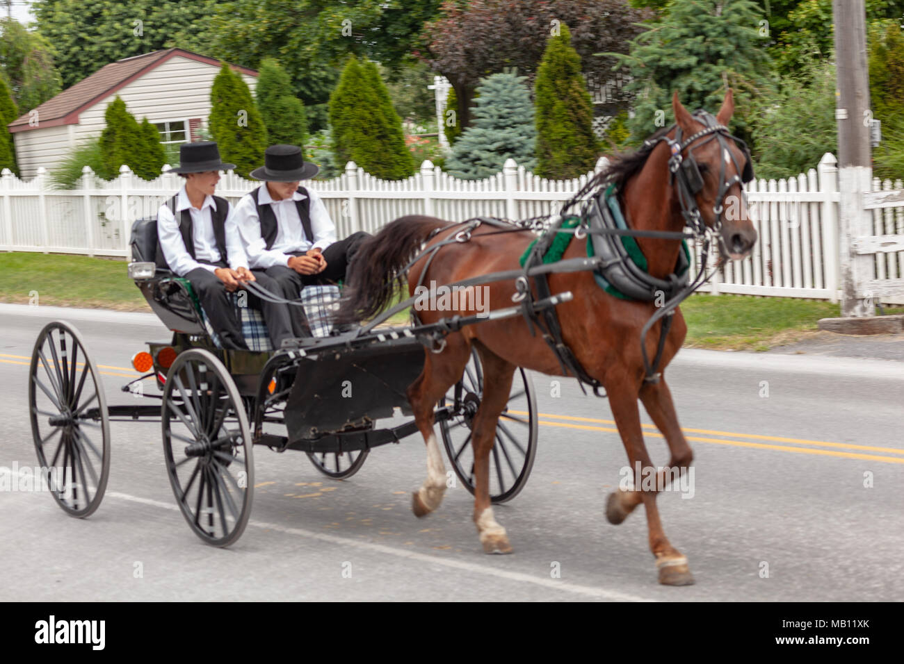 Bird-in-Hand, PA, USA - 17 juin 2012 : un buggy Amish ouvert utilisé pour le transport utilisé par deux jeunes hommes sur une route rurale dans le comté de Lancaster, PA. Banque D'Images