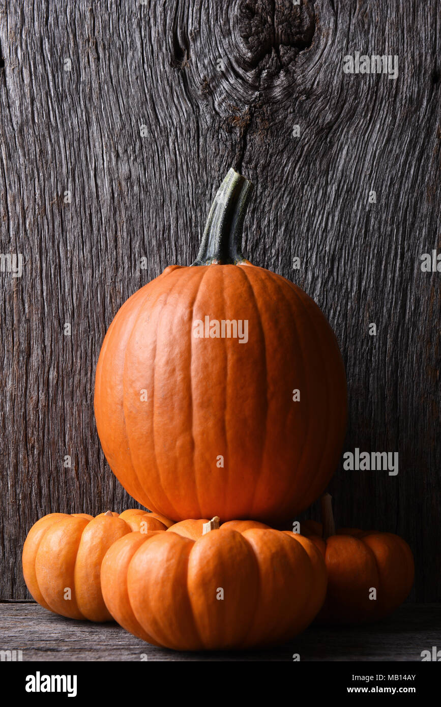 Pumpkin Carving sur le dessus de trois mini potirons décoratifs, format vertical avec copie espace. Banque D'Images