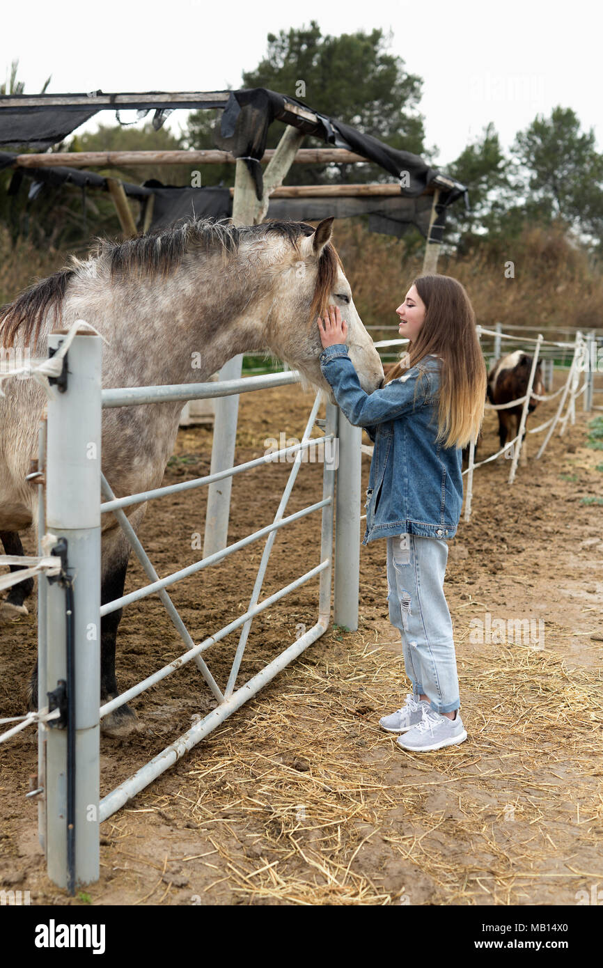 Jeune femme en donnant de l'affection à certains chevaux dans un refuge de la province d'Alicante en Espagne. Banque D'Images