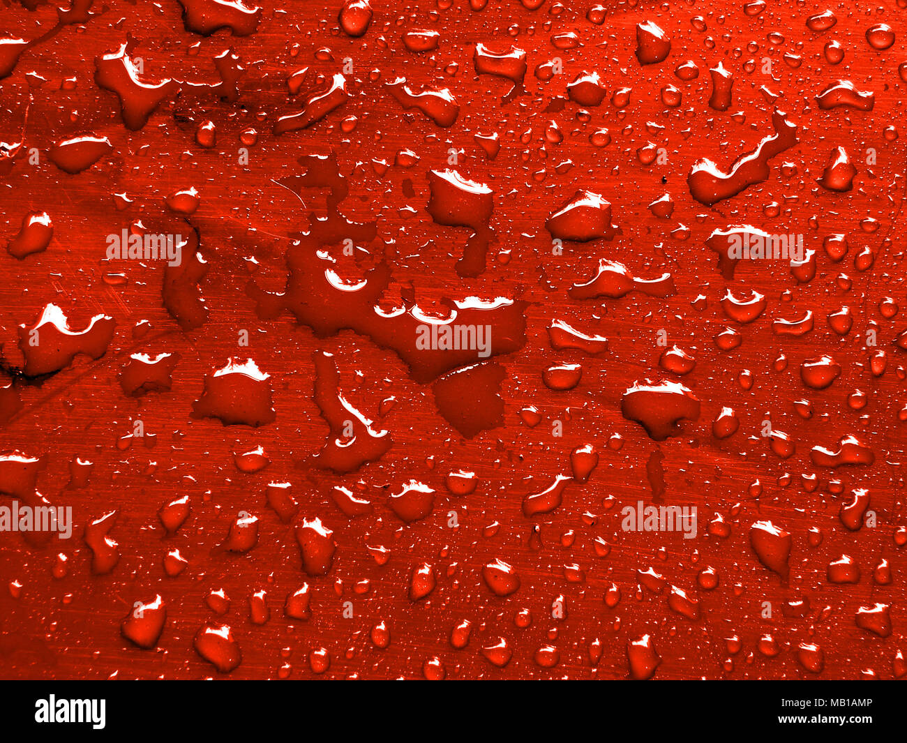 Goutte d'eau sur une surface métallique rouge Ferrari Banque D'Images