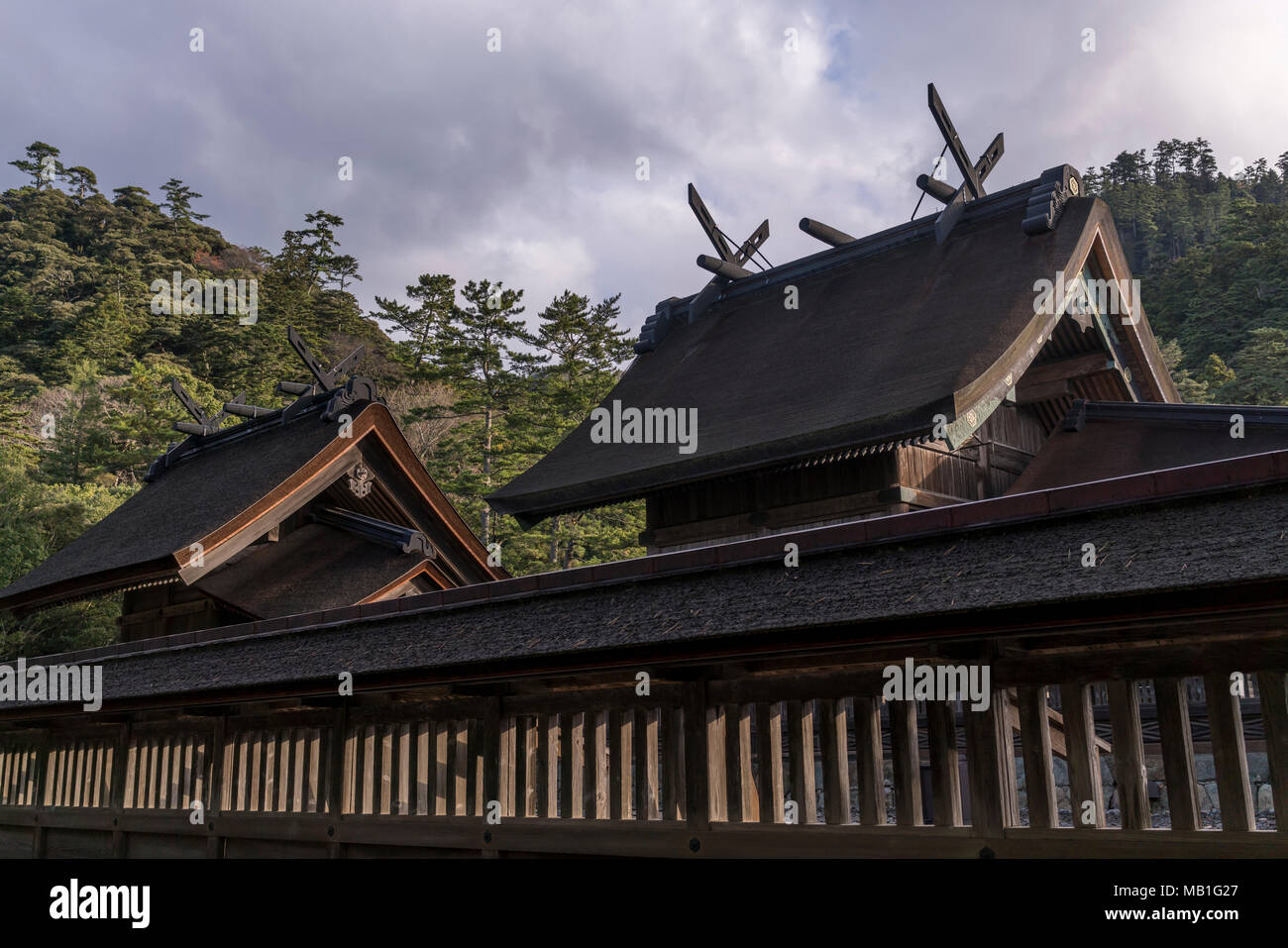 Bâtiments du Grand Temple (Izumo Izumo-taisha) dans la ville d'Izumo, Préfecture de Shimane, au Japon. Banque D'Images